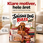 🔥 50 % RABATT 🐶 2027 Dachs-Bordkalender – 12 Måneder med Søte Motiver
